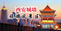 想插鸡吧网站啪中国陕西-西安城墙旅游风景区
